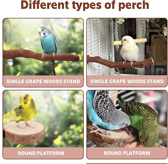5PCS Bird Perch Stand Natural Wooden Parrot Stand Branch,3 Grape Wood Perch,2 Platform,Paw Grinding Fork Parakeet Chewing Stick Exercise Training Branches for Cockatiels,Small Birds