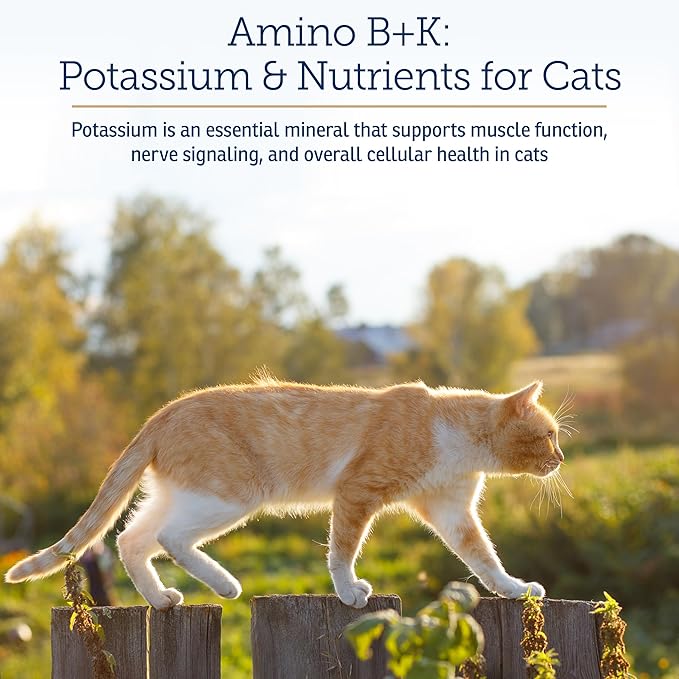 Rx Vitamins Amino B+K - Cat Vitamin B & Potassium Supplement for Cats - with Amino Acids Taurine & Lysine - Aids in Cat Kidney Support & Immune Support for Cats - Liver & Bacon 4oz
