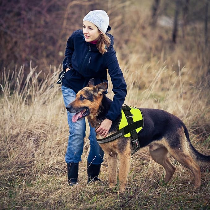 Dogline Dog Harness, Reflective No-Pull Adjustable Vest with Handle for Walking, Training, Breathable, No - Choke Harness for Small, Medium or Large Dogs Room for Patches Girth 18 to 24 in Lime Green