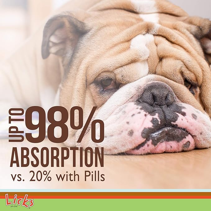 Dog Digestion - Dog Gut Health and Gas Relief - Bloating Relief and Digestion Supplement for Dogs - Dog Health Supplies - Gel Packets - 30 Use