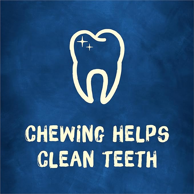 Purina Busy Bone Adult Dog Chew Bone Treats, Peanut Butter - 6 ct. Pouch