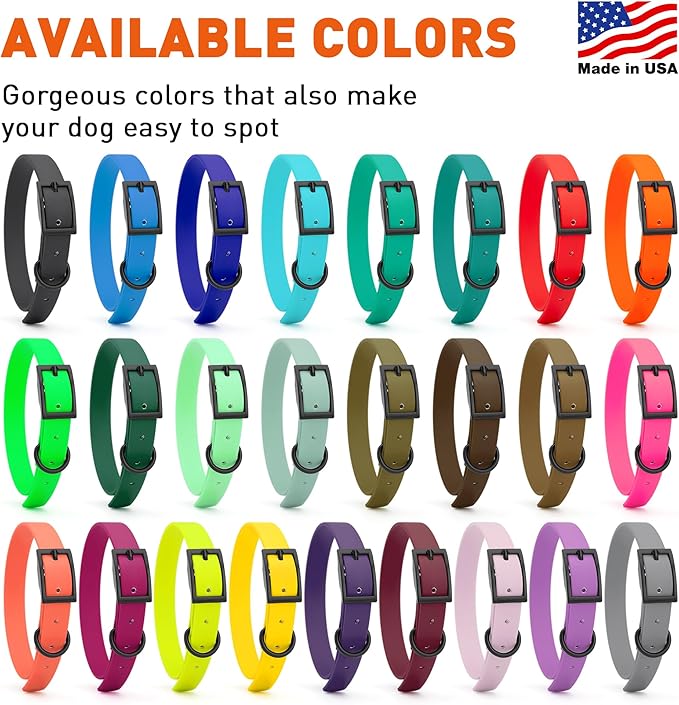 Dogline Biothane Waterproof Dog Collar Strong Coated Nylon Webbing with Black Hardware Odor- Proof for Easy Care Easy to Clean High Performance Fits Small Medium or Large Dogs, Sage Green