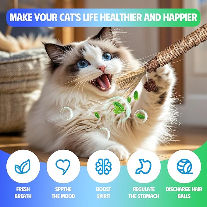 Cat Toys Chew Rope & Silvervine Sticks for Bored Indoor Adult Cats, 6Pcs Interactive Catnip Toys for Cats with Refillable Natural Catnip Bag for Teeth Cleaning