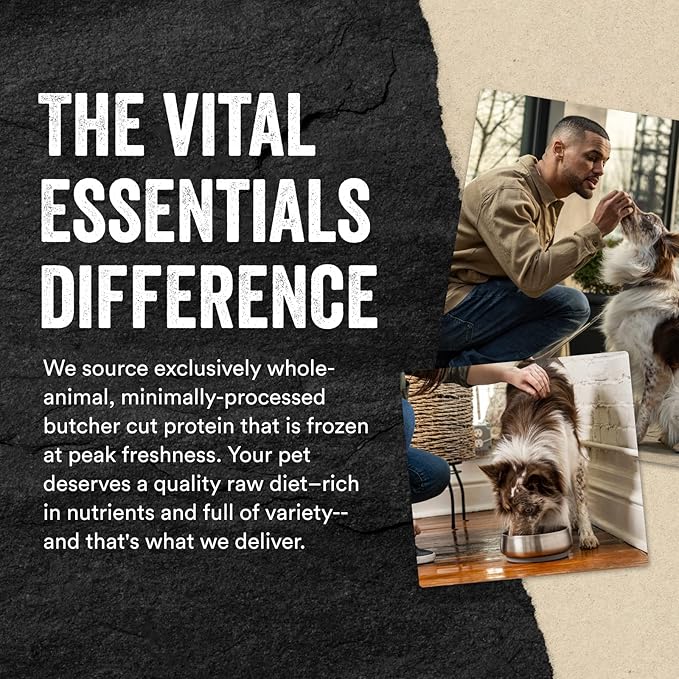 Vital Essentials Minnows Dog Treats, 2.5 oz | Freeze-Dried Raw | Single Ingredient | Premium Quality High Protein Training Treats | Grain Free, Gluten Free, Filler Free