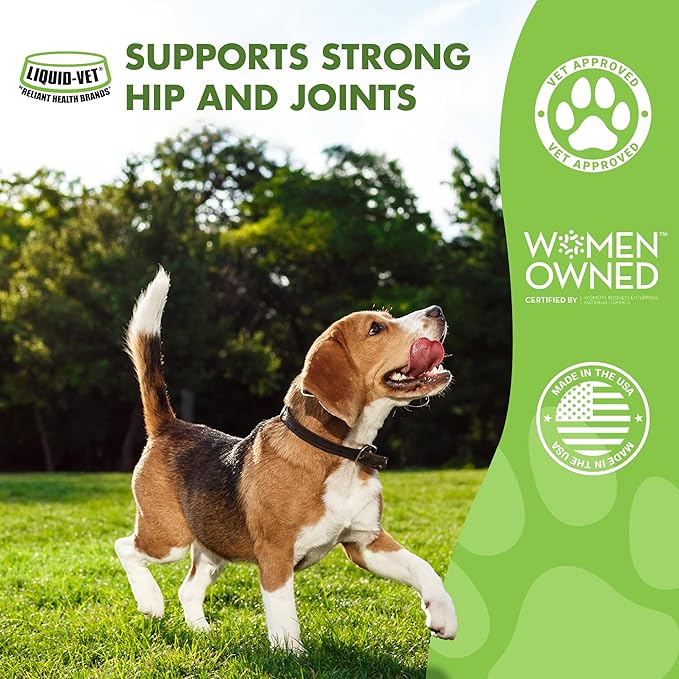 by Cool PET Holistics LVDJW-PR-04PK-16U Hip & Joint Dog Joint Supplement, 16 oz
