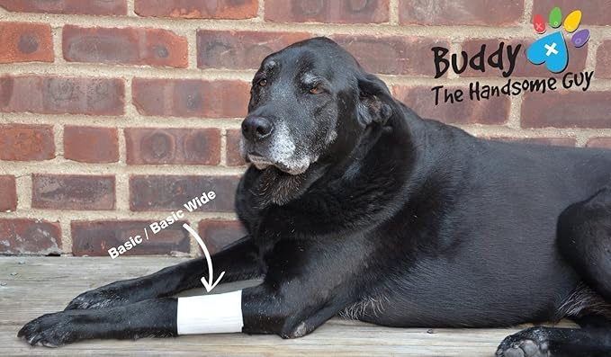 Basic Leg Bandages for Dogs, Cats and Other Pets First Aid Non-Adhesive Fur Friendly - Value 10 Pack (5 Standard, 5 Wide) by PawFlex (XX-Small)