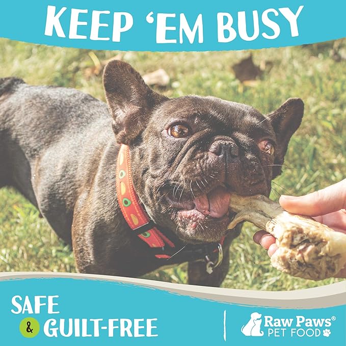 Raw Paws Freeze Dried Duck Necks for Dogs, 5-oz - Made in USA - All Natural Duck Dog Treats - Single Ingredient