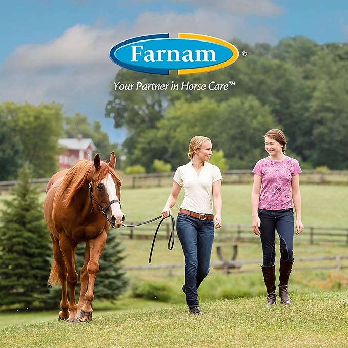 Farnam Endure Sweat-Resistant Fly Spray for Horses, Lasts Up to 14 Days, Protects Against Flies, Gnats, Mosquitoes, Ticks & Lice, 32 oz.