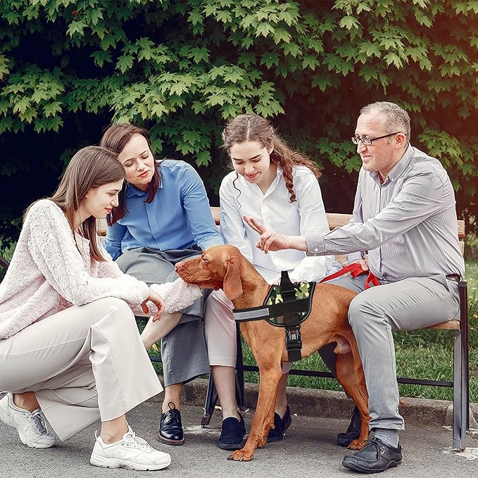 Dogline Dog Harness, Reflective No-Pull Adjustable Vest with Handle for Walking, Training, Breathable, No - Choke Harness for Small, Medium or Large Dogs Room for Patches Girth 15 to 18 in Green Camo