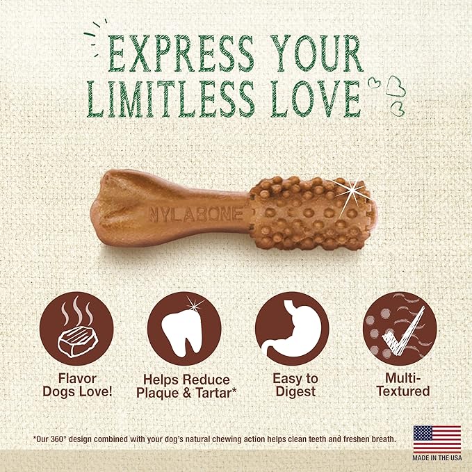 Nylabone Nutri Dent Dog Dental Chews - Natural Dog Teeth Cleaning & Breath Freshener - Dental Treats for Dogs - Filet Mignon Flavor, Mini (32 Count) (Pack of 2)