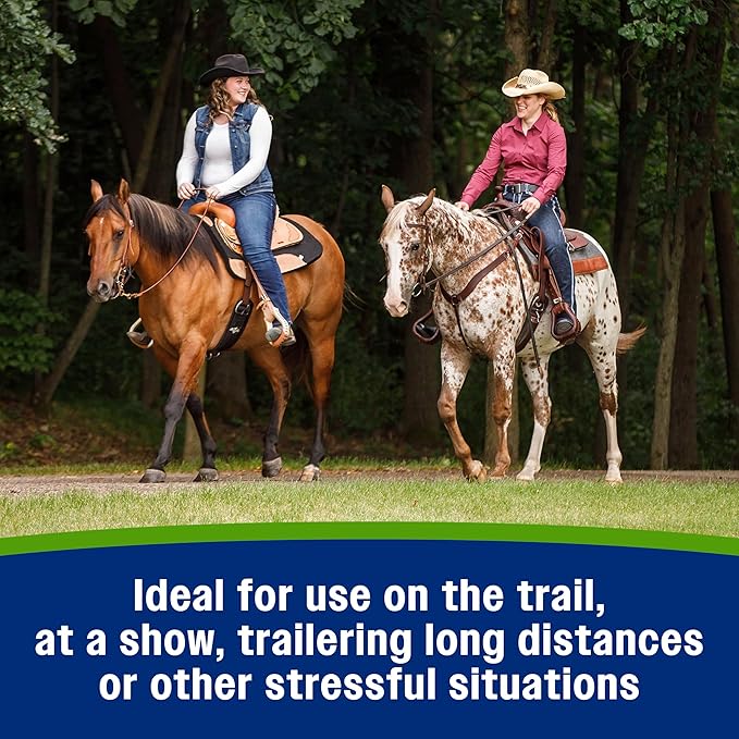 Farnam Apple Elite Electrolyte Paste Supplement for Horses, Replaces Vital Minerals, Encourages Hydration, No Added Sugar, 60 cc syringe