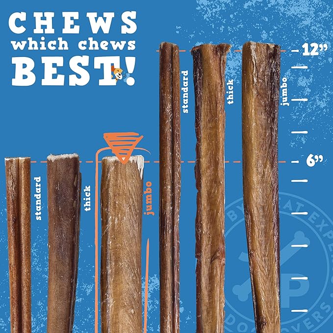 Jack&Pup 6-inch Pizzle Sticks for Dogs (12 Pack) All Natural Jumbo Bully Sticks | Long Lasting Bully Sticks for Medium Dogs