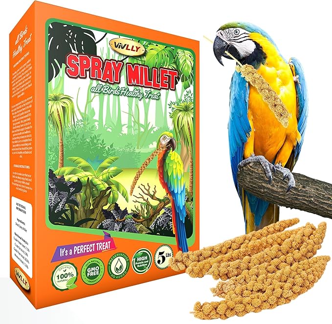 5LBS GMO-Free Sun Dried Spray Millet - Original Bird Treat Millet for Parakeets, Cockatiels, Finches & More - Non-GMO, High in Amino Acids, Easy Storage, Tasty & Healthy Bird Snacks (5 lbs)