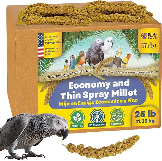 Birds LOVE Economy & Thin Special Spray Millet GMO-Free (No Stems Only Edible Tops) for Birds Cockatiel Lovebird Parakeet Finch Canary All Parrots Healthy Treat - 25lbs