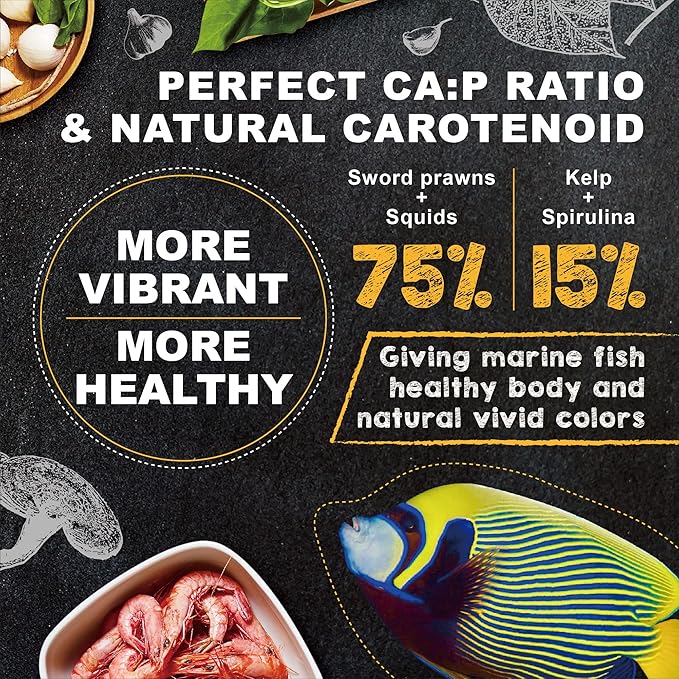 Ultra Fresh Marine Fish Food, 75% Sword Prawns + Squids, Natural Protein, Color Enhancement, for Large Saltwater Fish, Marine Shrimp Patties L 2.12oz