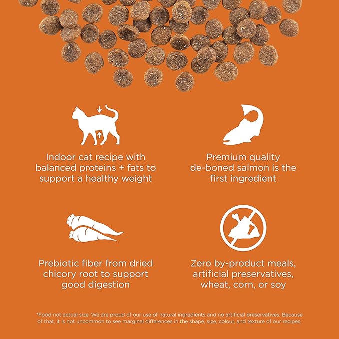 Go! Solutions Skin + Coat Care, Grain-Free Dry Cat Food, Salmon Recipe, 8 lb Bag