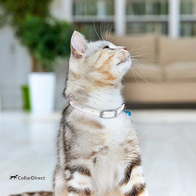 CollarDirect Leather Cat Collar, Cat Safety Collar with Elastic Strap, Kitten Collar with Bell Black Blue Red Orange Lime Green (8-11 Inch, White)