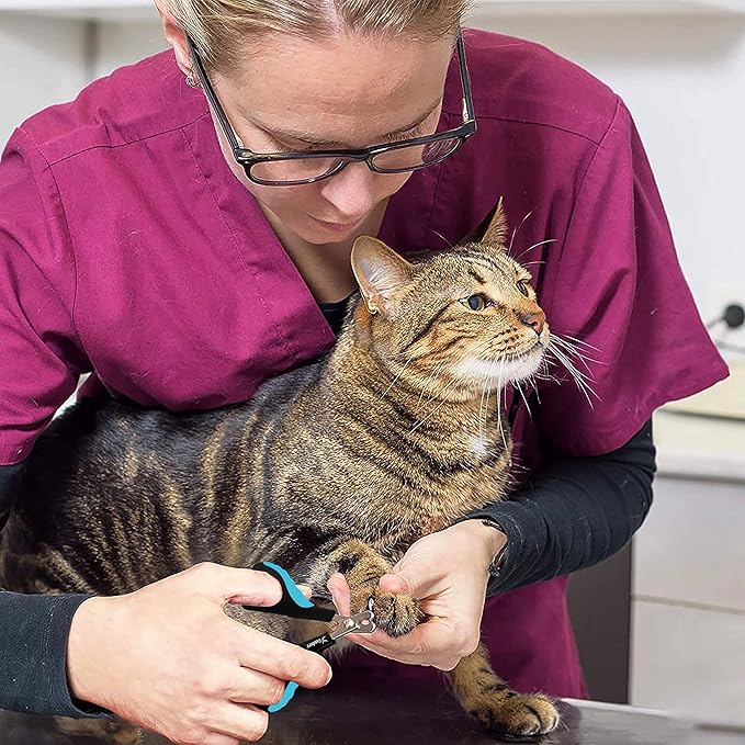 Candure Cat Nail Clipper Stainless Steel Cat Claw Trimmers for Rabbits, Guinea Pigs, Birds, Puppies, Kittens and Small Animals Pet Nail Clipper for Professional and Home Use (Blue)