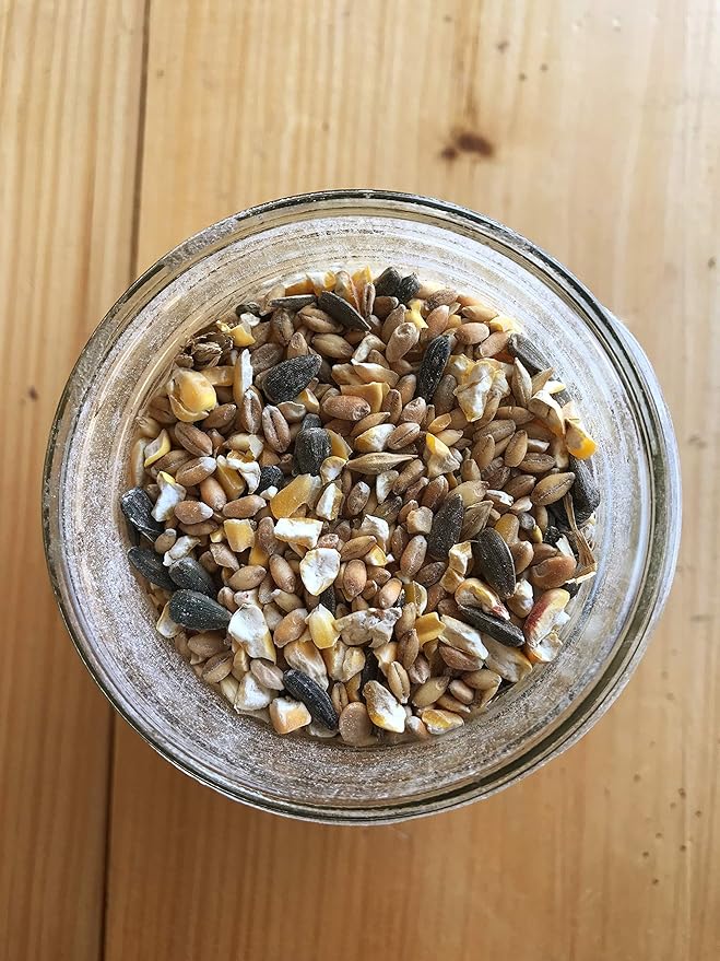 Ernst Grain & Livestock's Bird and Wildlife Feed – Perfect for Birds, Ducks, Squirrels, Turkeys, Rabbits, Geese, and Deer – Non-GMO Wild Animal & Bird Feed for Outside Feeders (46 Pounds)