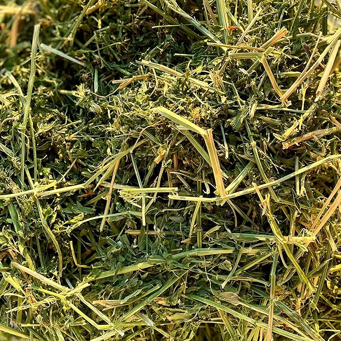 Blue Mountain Hay High-Altitude Hay - Organic Alfalfa, 25lb - High Protein, Fiber & Mineral-Rich - Soft, Leafy, High Leaf Retention - Ideal for Goats, Rabbits, Guinea Pigs & Other Small Animals