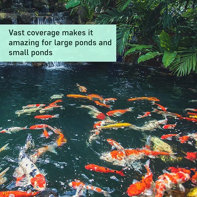 AquaDoc Pond Water Clarifier 32oz – Enzyme-Based Treatment for Koi and Fish Ponds – Helps Clear Cloudy Water and Reduce Sludge