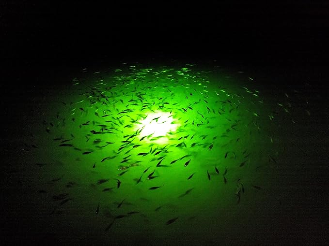 Underwater Fish Light 175-watt Single Dock Light for Fresh or Salt Water, Easy to Install, Attracts Fish, Dusk to Dawn Operation