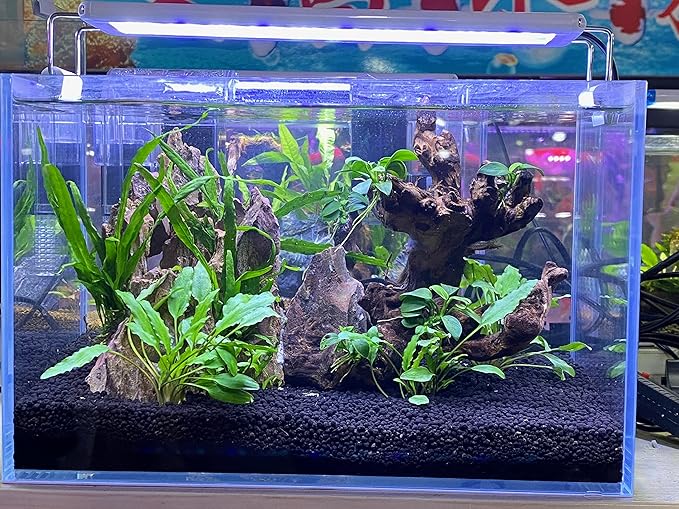 Landen Aqua Soil Substrate for Natural Planted Aquarium, Plant or Shrimp Stratum, Clay Gravel and Stable Porous Substrate for Freshwater Aquarium, Black Color 40lbs