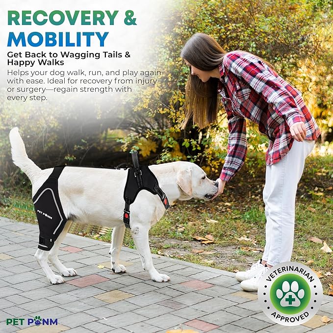 Comfortable Dog Knee Brace for Both Hind Legs with Harness - for ACL Tear, Luxating Patellae, Osteoarthritis & Instability - for Recovery & Injury Prevention in Active/Aging Dogs - (Small)