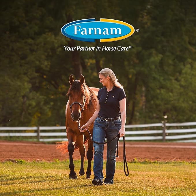 Farnam SuperMask II Fly Mask Without Ears for Foals, Full Face Coverage and Eye Protection from Insect Pests, Structured Classic Styling Mesh with Plush Trim, Foal Size