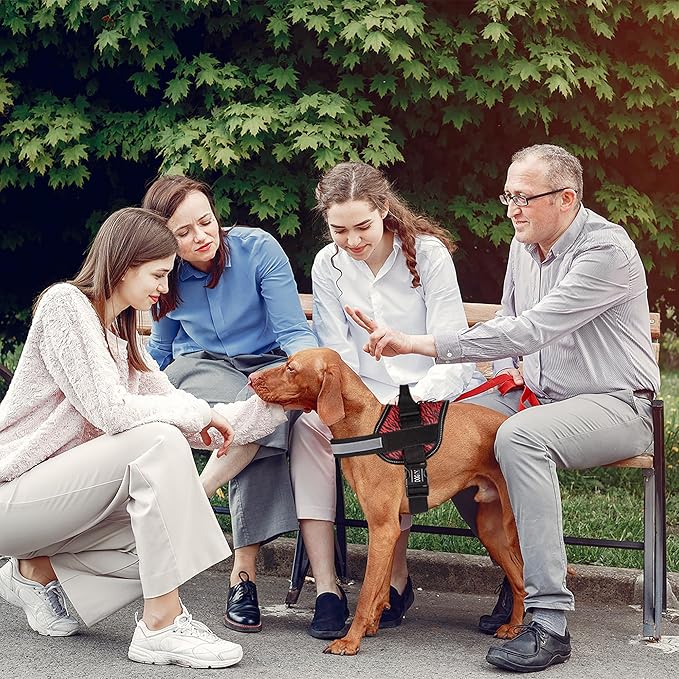 Dogline Dog Harness, Reflective No-Pull Adjustable Vest with Handle for Walking, Training, Breathable, No - Choke Harness for Small, Medium or Large Dogs Room for Patches Zebra Black/Red XL 33"-46"