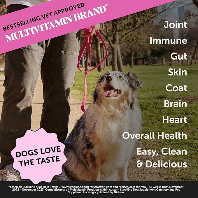 Dog Multivitamin Supplement with Salmon Oil for Dogs - Allergy Itch Relief, Digestion, Skin & Coat Health, Liquid Supplement - Dog Food Topper Bone Broth with Prebiotics (12 oz)