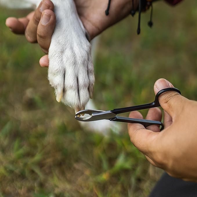 Cat Nail Trimmers/Dog Nail Trimmers - Solid Steel Pet Nail Clippers for Small and Medium Sized Dogs and Cats - Dog Grooming Supplies, Cat Grooming Supplies (2 Sets)