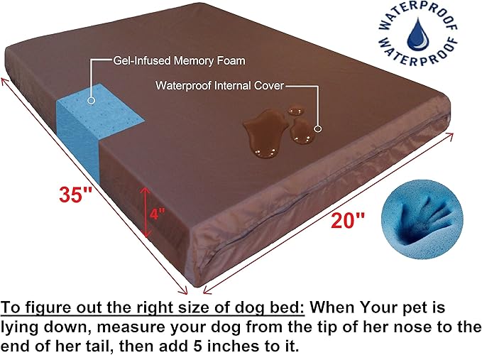 Dogbed4less Orthopedic Small Medium Gel Memory Foam Pet Bed with Washable Denim Cover, Waterproof Liner and Extra External Case 35X20X4 Inch