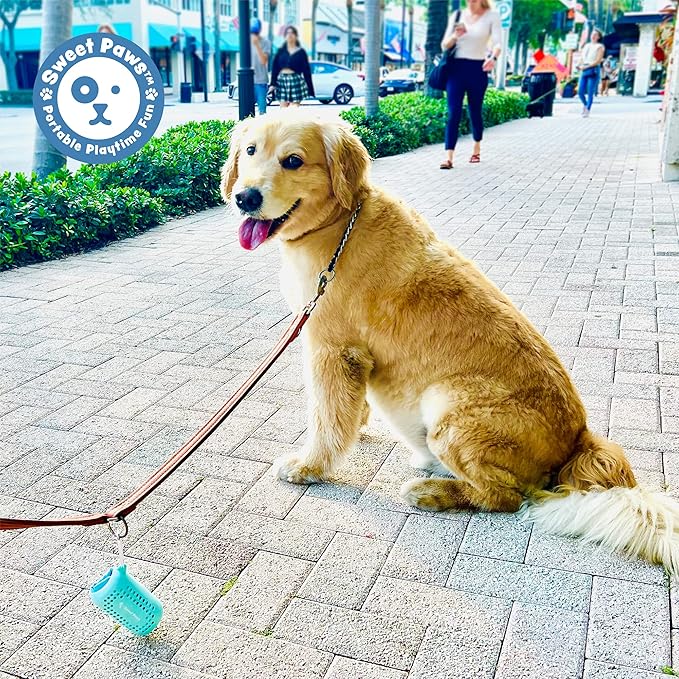 Sweet Paws Portable Dog Paw Towel, Lightweight & Super Absorbent Microfiber, Clips onto Leash, Quick Drying Towel for Dogs Paws with Silicone Case, Dry Dog’s Paws on The Go - 3 Pieces Set - Large