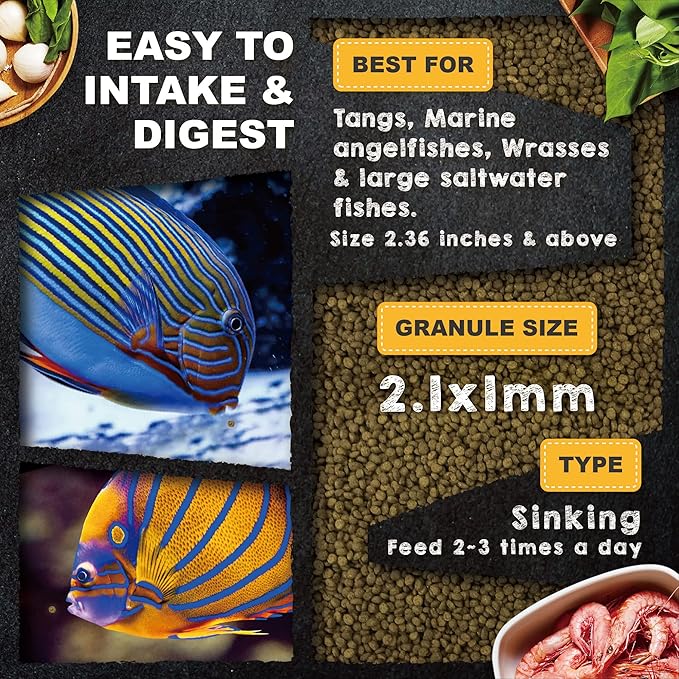 Ultra Fresh Marine Fish Food, 75% Sword Prawns + Squids, Natural Protein, Color Enhancement, for Large Saltwater Fish, Marine Shrimp Patties L 2.12oz