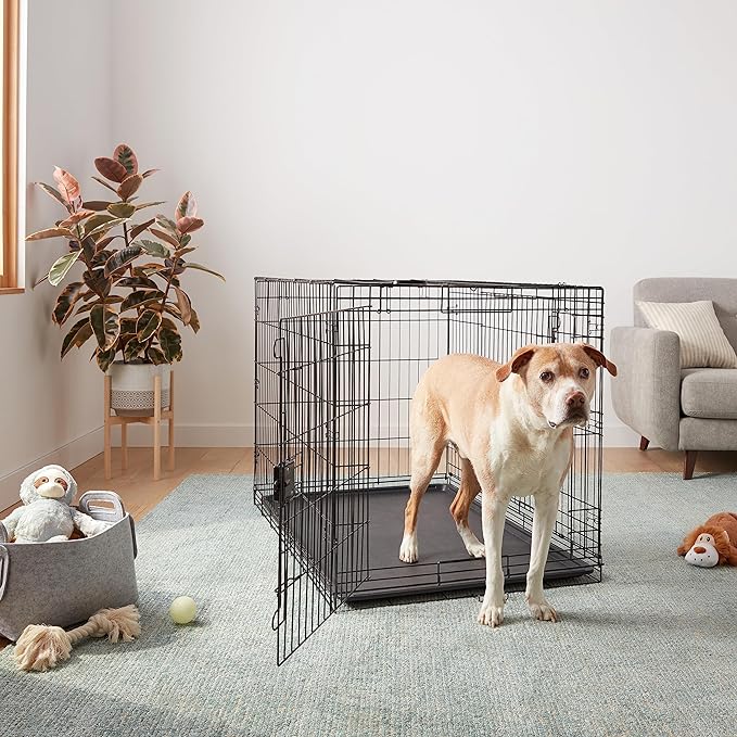 Amazon Basics Durable, Foldable Metal Wire Dog Crate with Tray, Double Door, 48 x 30 x 32.5 in, Black