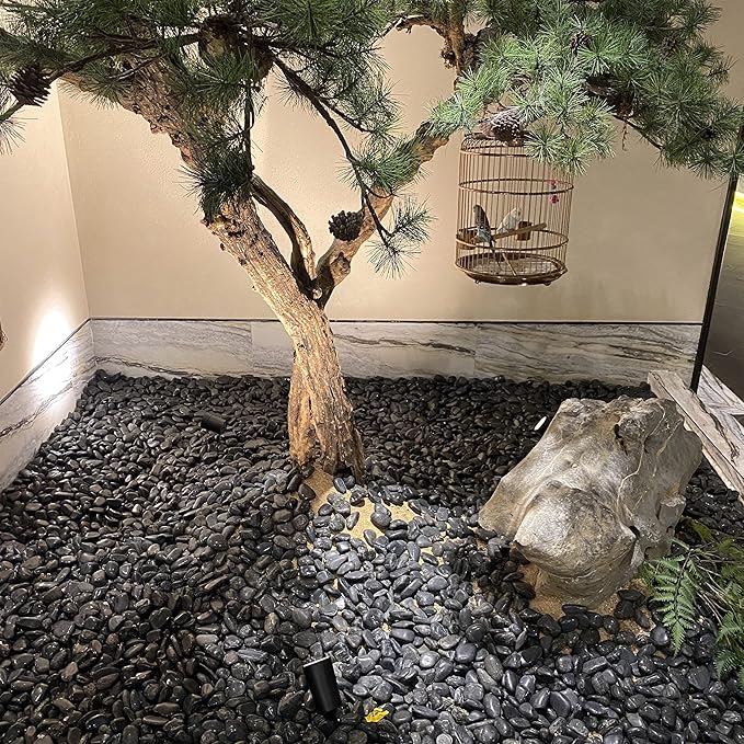 5 lbs Polished Black Pebbles for Indoor Plants, 0.8-1.2 Inch Decorative Black River Rocks for Plants Aquarium Planter Vase Fillers Landscaping and Garden Black Stones